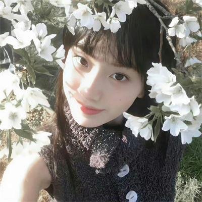 寸步不离的兄弟海报