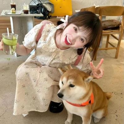 侦探人生第三季海报